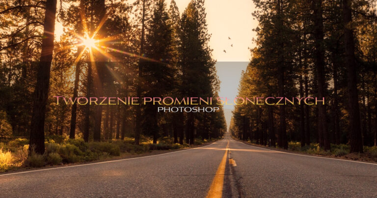 Droga przez las oświetlona promieniami słońca