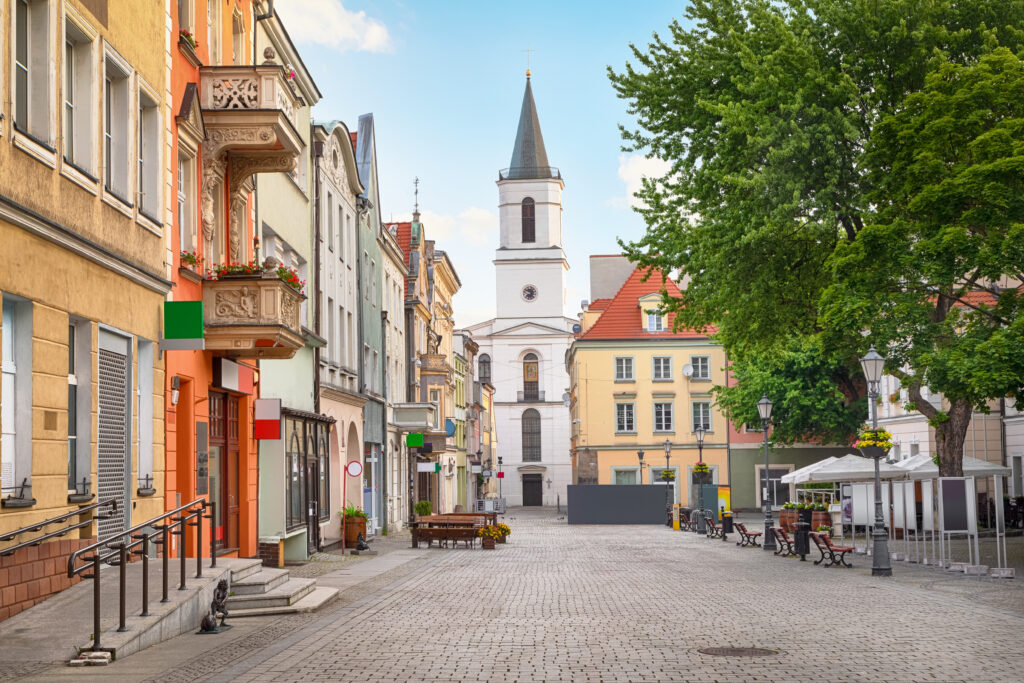 sesja zdjeciowa zielona gora